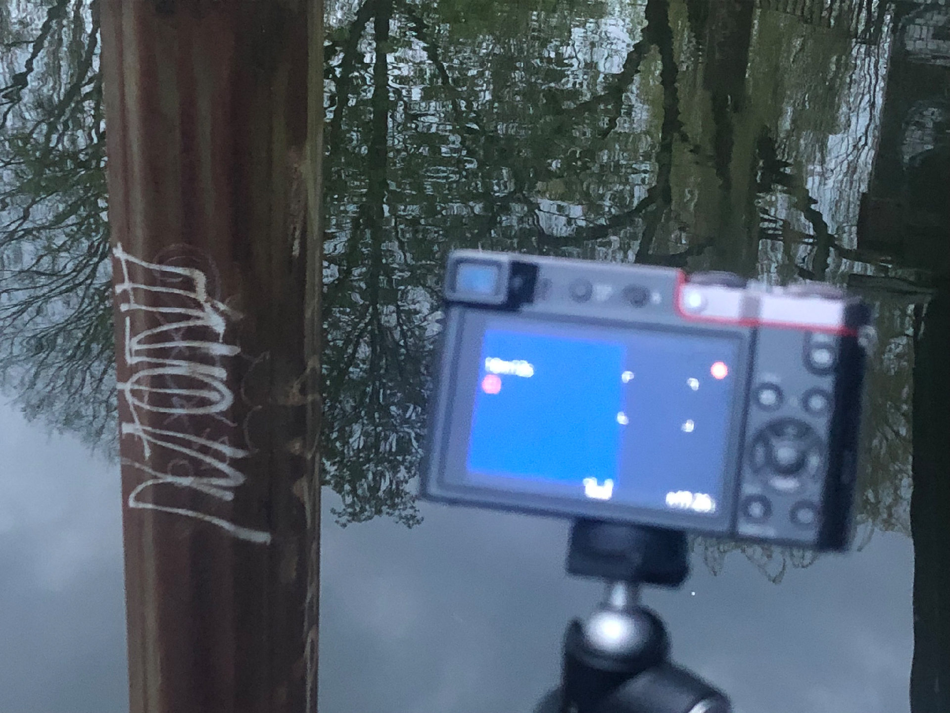 2026-04 Kaleidoskop (Fieldrecording Video)